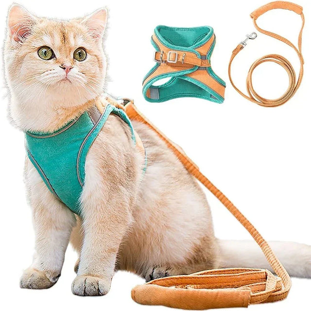Cat Harness β Safe and Comfortable for Outdoor Adventures