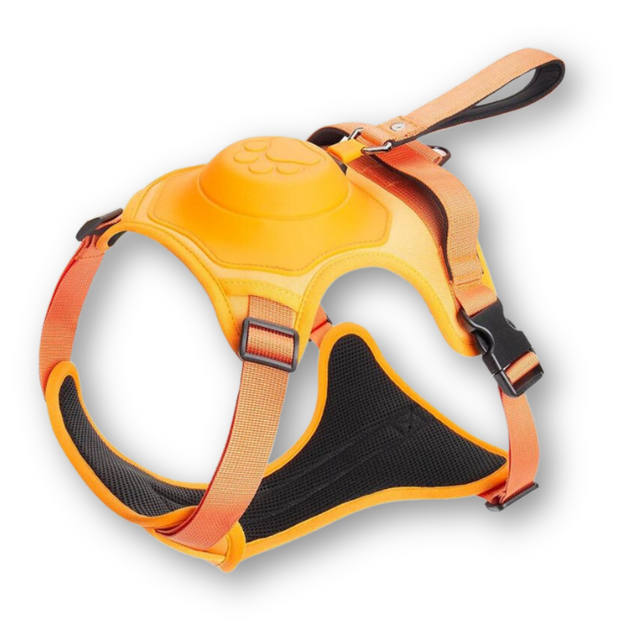 Dog Harness and Lead in One - FlexiLead