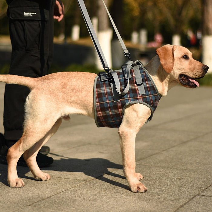 Orthopedic Rear Leg Support Harness for Dogs – Ideal for Arthritis, Hip Dysplasia & Mobility Aid