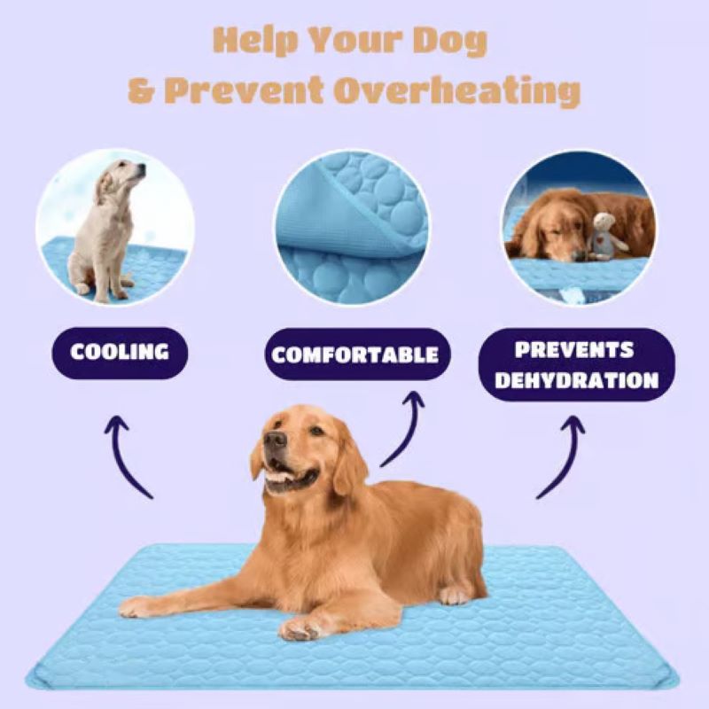Cooling Mat for Dogs (4x More Effective)