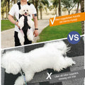 Pet Backpack Front