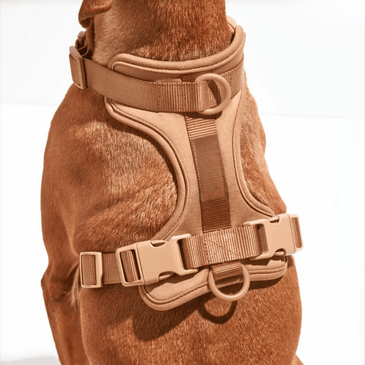 ComfyPaws Dog Harness Walking Set with Leash and Poop Bag Holder