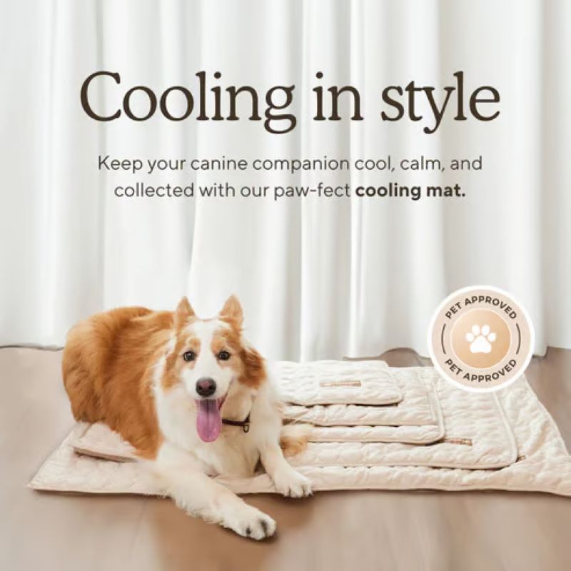 Cooling Mat for Dogs (4x More Effective)