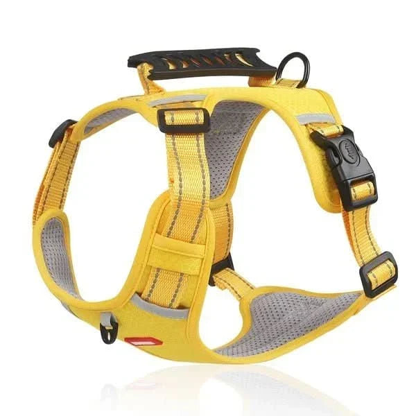 anti-pull dog harness for pain-free walks