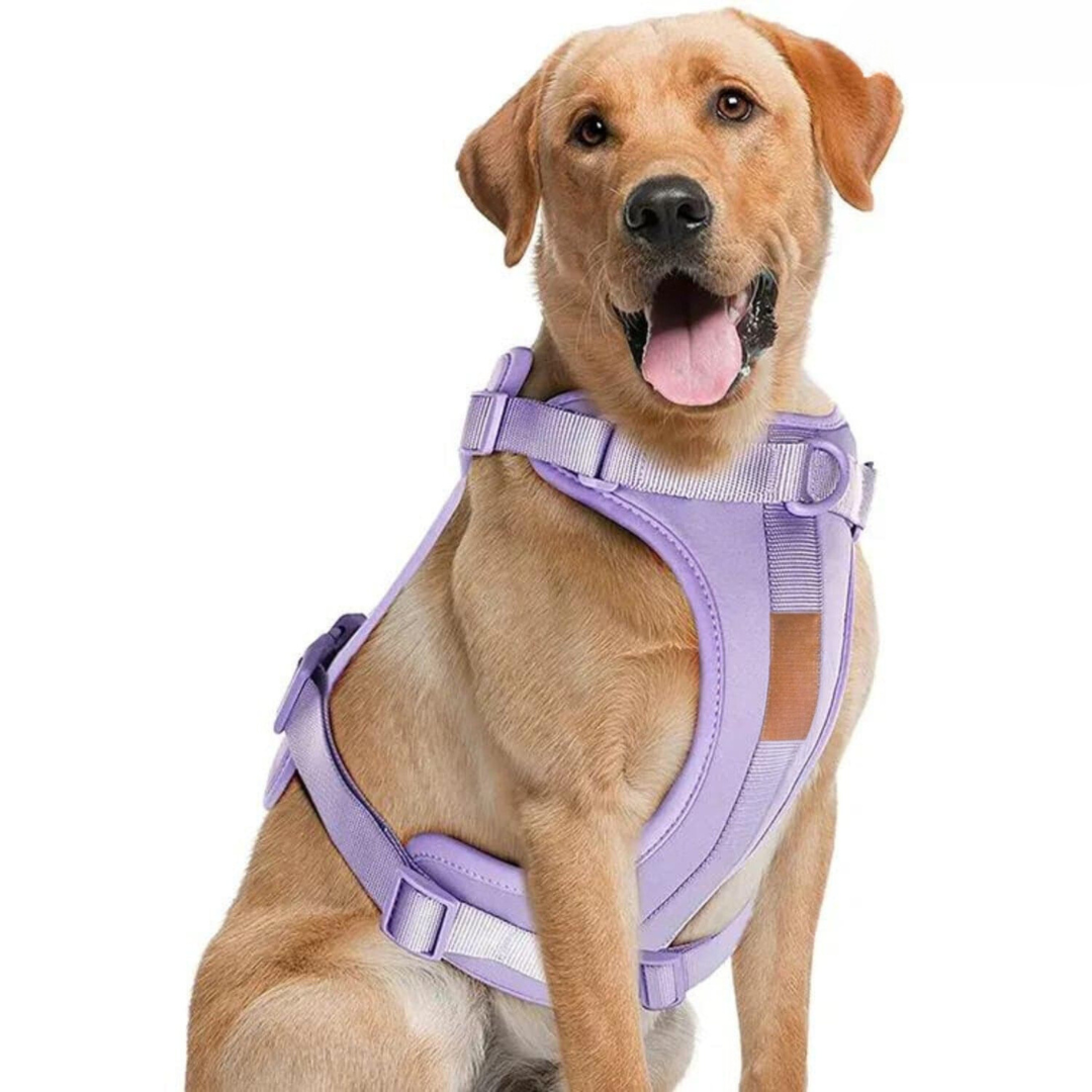 ComfyPaws Dog Harness Walking Set with Leash and Poop Bag Holder