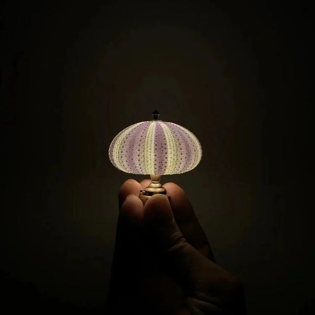 DIY Sea Urchin Night Light - LumiUrchin |