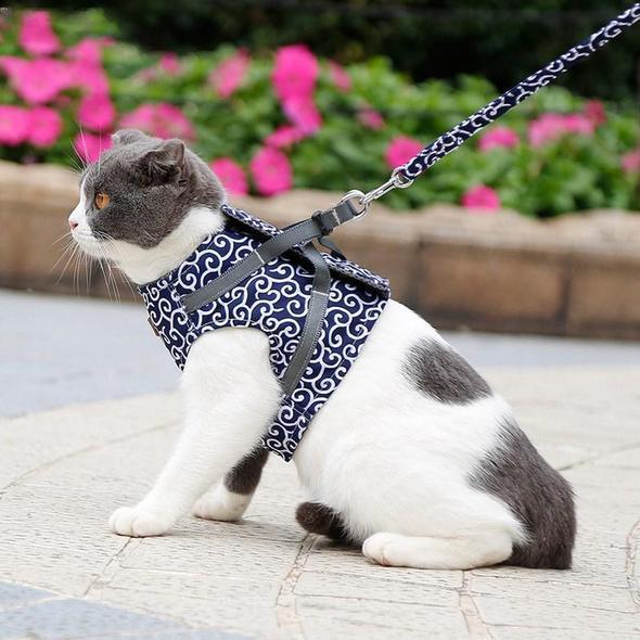 Collar jacket and leash for cat |