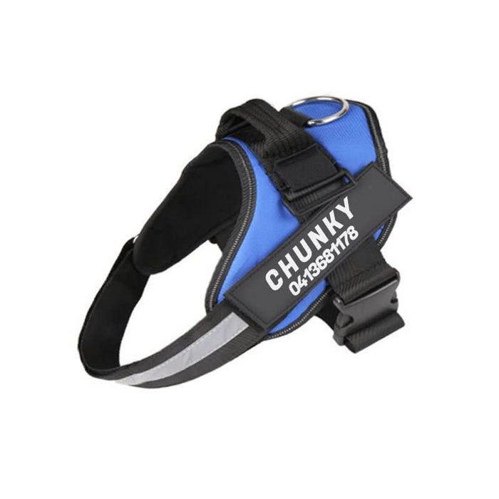 Safety Dog Harness with Name Tag & Reflectors