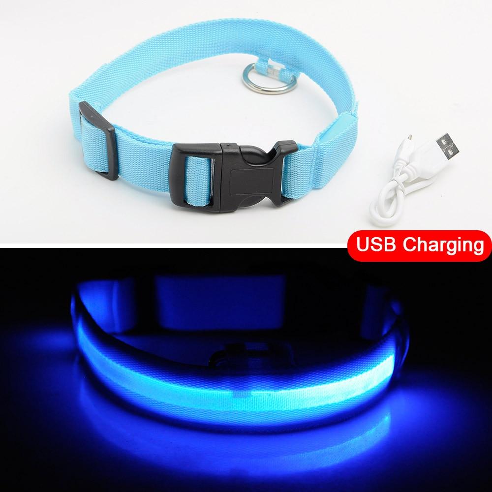Light Up Dog Collar - Flashing Dog Collar