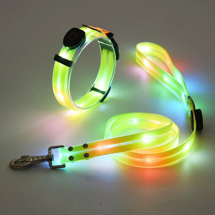 LED Dog Collar with Leash – NightBright