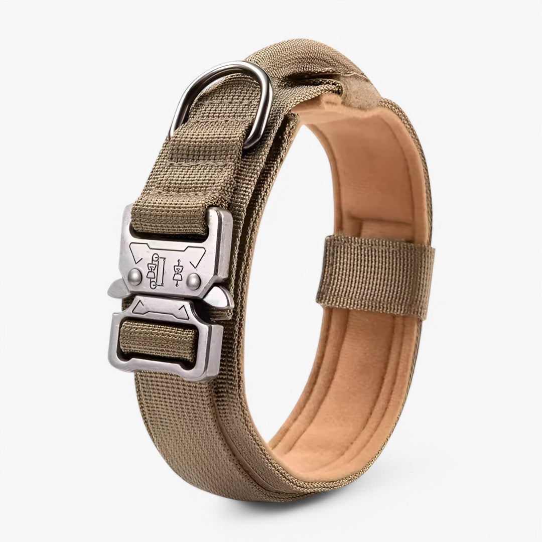 OutdoorHeld Dog Collar – For active dogs with endurance
