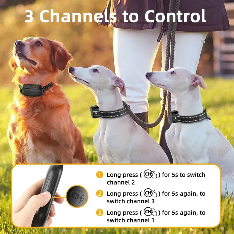 ProTrain – Rechargeable Waterproof Dog Training Collar with Remote