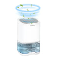 1000ml Portable 2-in-1 Dehumidifier with Air Filter & Night Light – Aveline