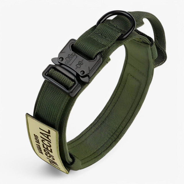 Durable & Adjustable Collar for Training & Everyday Use