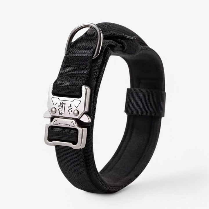OutdoorHeld Dog Collar – For active dogs with endurance