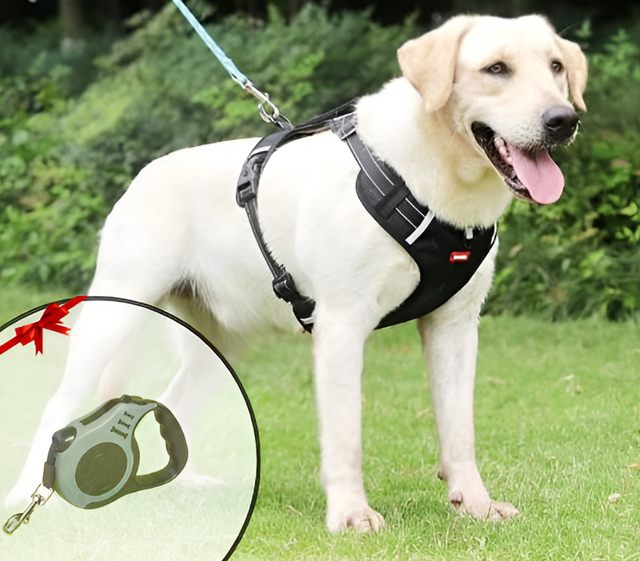 Anti-Trek Dog Harness - FlexiFit