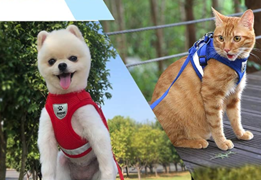 Cat Harness with Leash - AdventureKit