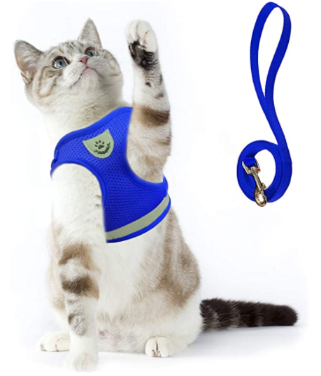 Cat Harness with Leash - AdventureKit