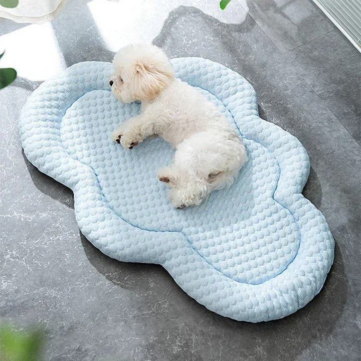 CLOUDCOOL – Breathable Cooling Mat for Dogs on Hot Days