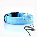 Dog collar with LED lighting - GlowCollar