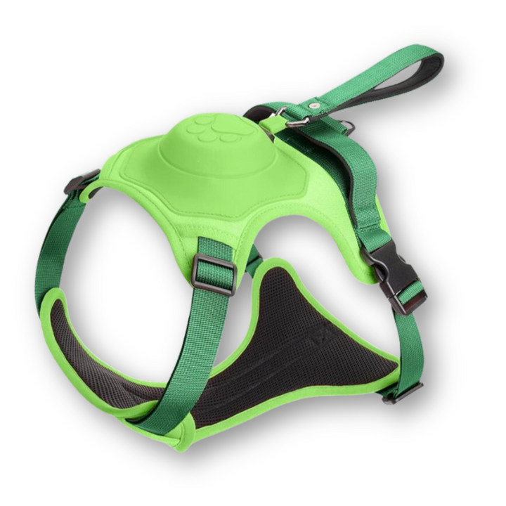 Dog Harness and Lead in One - FlexiLead