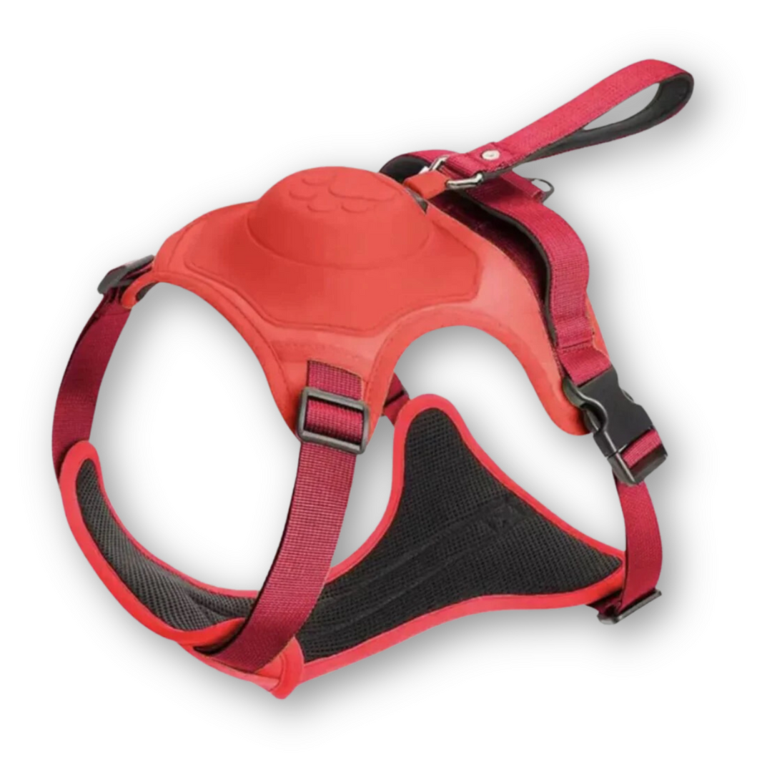 Dog Harness and Lead in One - FlexiLead