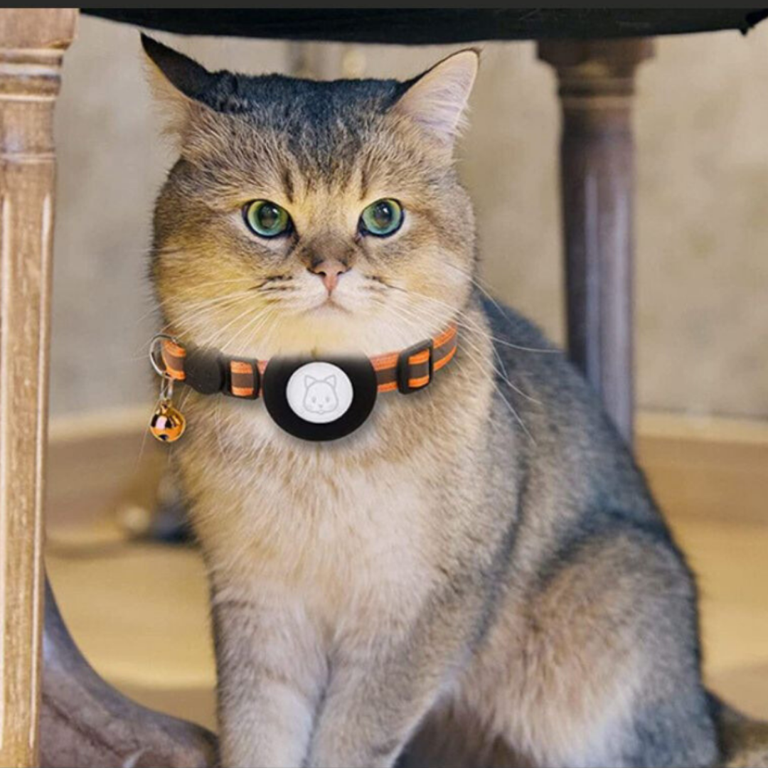 Cat Collar With Bell And GPS Tracker Holder
