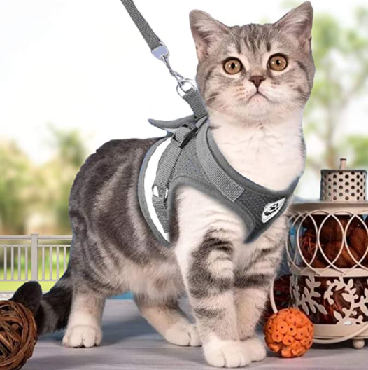 AdventureKit - Safe Harness for Adventurous Cats