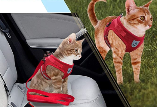 AdventureKit - Safe Harness for Adventurous Cats