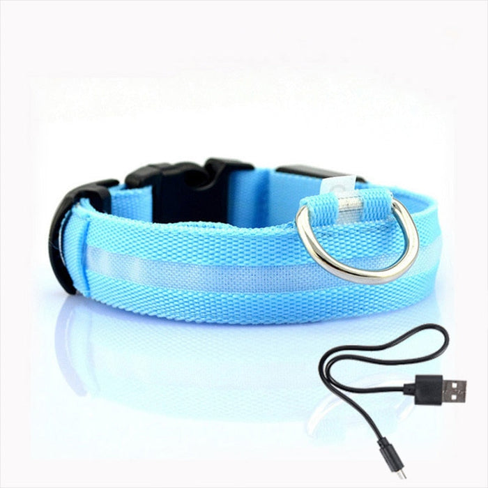 LED Dog Collar - GlowCollar