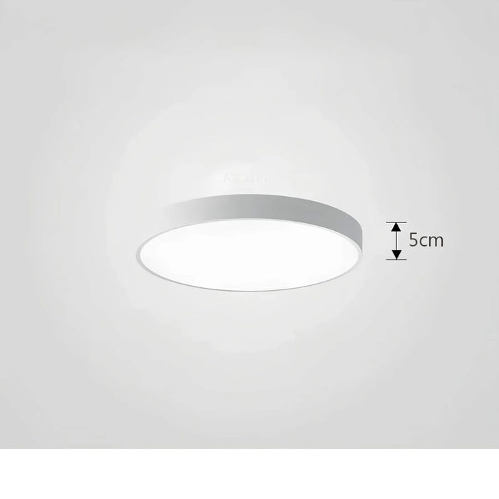 Ceiling Light ChromaCraft