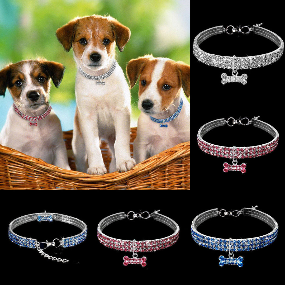Premium Pet Collar - Bling It On