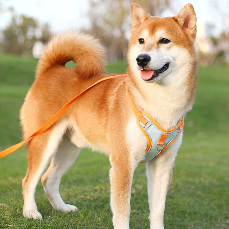 Reflective Puppy Harness - BrightPaw