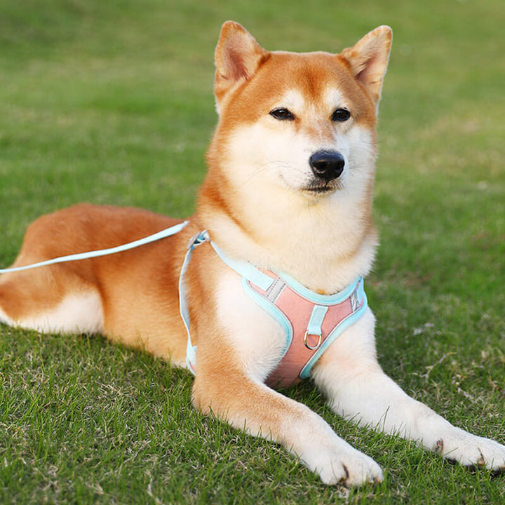 Reflective Puppy Harness - BrightPaw