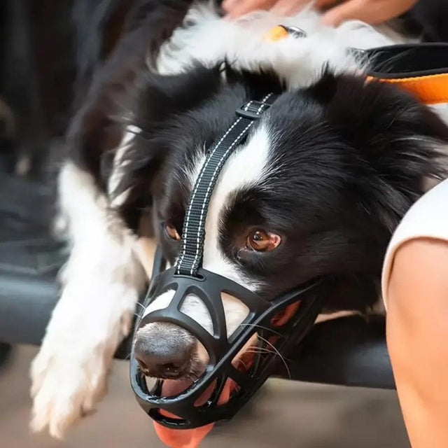 SafeBark • Dog Muzzle