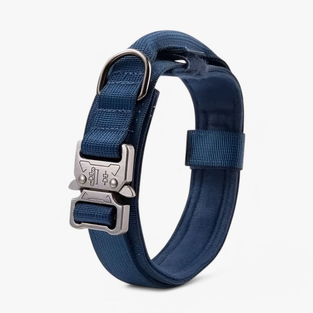 Adjustable Dog Collar Set for Adventures and Daily Training