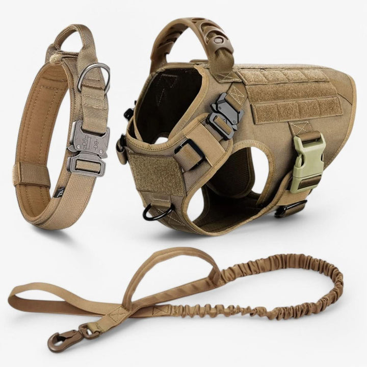 Adjustable Dog Harness for Safe and Comfortable Training