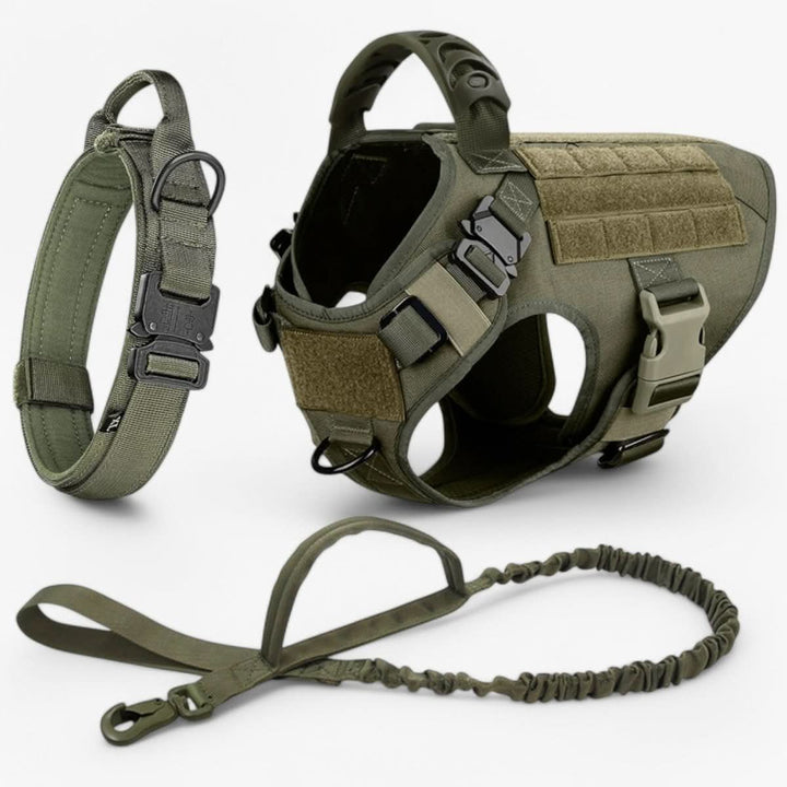 Adjustable Dog Harness for Safe and Comfortable Training