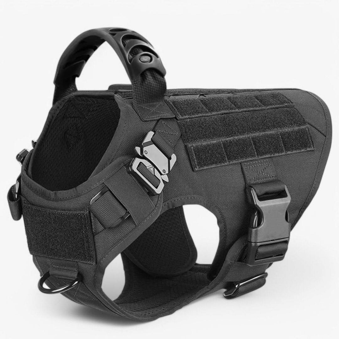 Adjustable Dog Harness for Safe and Comfortable Training