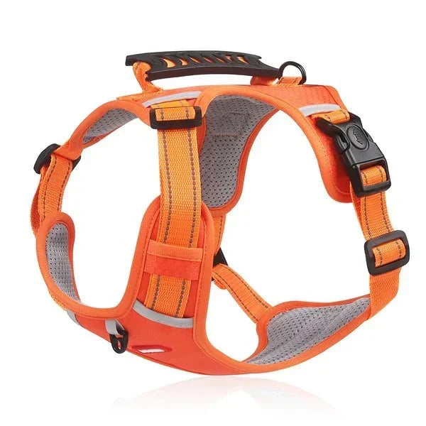 WalkEase Harness – Anti-pull dog harness for relaxed walks &amp; healthy posture